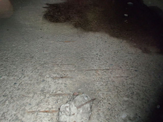 11-2-8(1)철근노출(박락).jpg